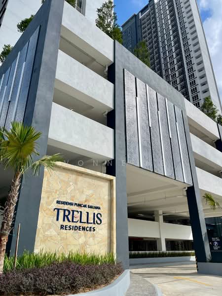 Exterior type: mid-rise condominium; features: grey painted facade, glass curtain wall, recessed balconies, feature wall with stone cladding, landscaped entrance with palm trees, multi-storey car park, modern architectural design; style: modern.