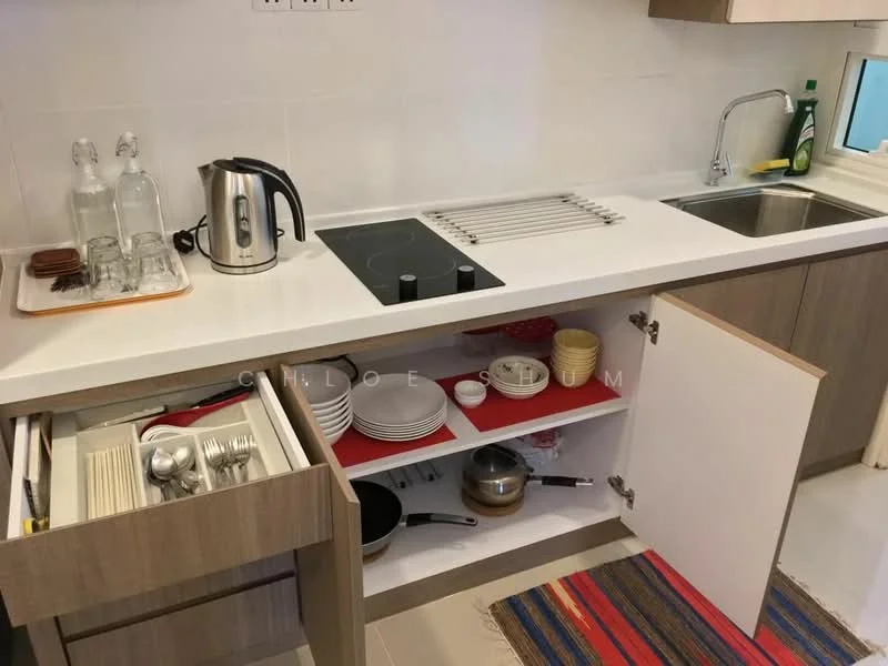 Kitchen features: white countertop, stainless-steel sink, chrome pull-down faucet, built-in induction cooktop, kettle, glass storage bottles, wooden cabinetry, open shelving, dinner plates, cutlery, cooking utensils, dish rack, colorful area rug; style: modern.