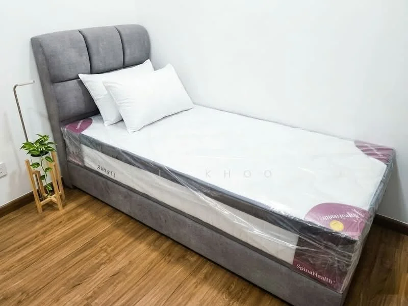 Bedroom features: single bed with upholstered headboard, mattress with protective cover, wooden flooring, white painted walls, decorative plant in pot, bedside table, pillow with white cover; style: modern.