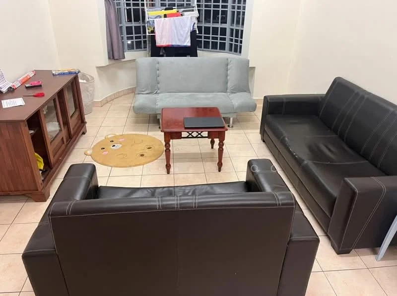 Living features: 3-seater fabric sofa in grey, 2-seater leather sofa in black, wooden coffee table, area rug with cartoon character design, tile flooring, light-colored painted walls, curtains on windows, clothes drying rack, corner TV console, floor-to-ceiling windows; style: contemporary.