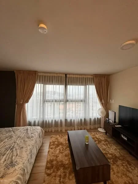 Living features: floor-to-ceiling windows, sheer curtains, wooden flooring, beige wall, light brown area rug, brown coffee table, TV console, wall-mounted TV, ceiling lights, ceiling fan; style: modern; view: city.