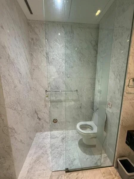 Bathroom features: glass shower enclosure, marble wall cladding, marble flooring, one-piece toilet, chrome towel rail, wall-mounted faucet, framed mirror, recessed lighting; style: modern.