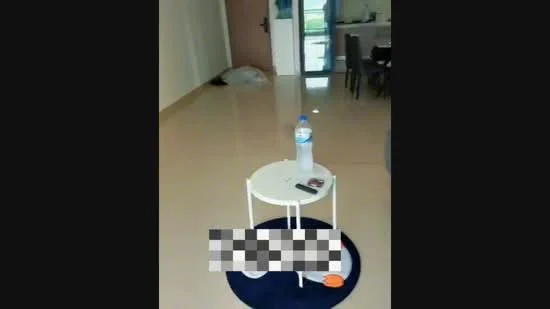 Room features: light-colored tiled flooring, white walls, round coffee table, plastic water bottle, smartphone on table, area rug, dining area visible in background.