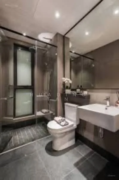 Bathroom features: walk-in shower with glass enclosure, chrome handheld shower, single-sink vanity with wall-mounted cabinet, white ceramic basin, modern faucet, one-piece toilet, grey tile flooring, dark stone accent wall, recessed downlights, mirror above vanity, towel rack, decorative plant; style: modern.
