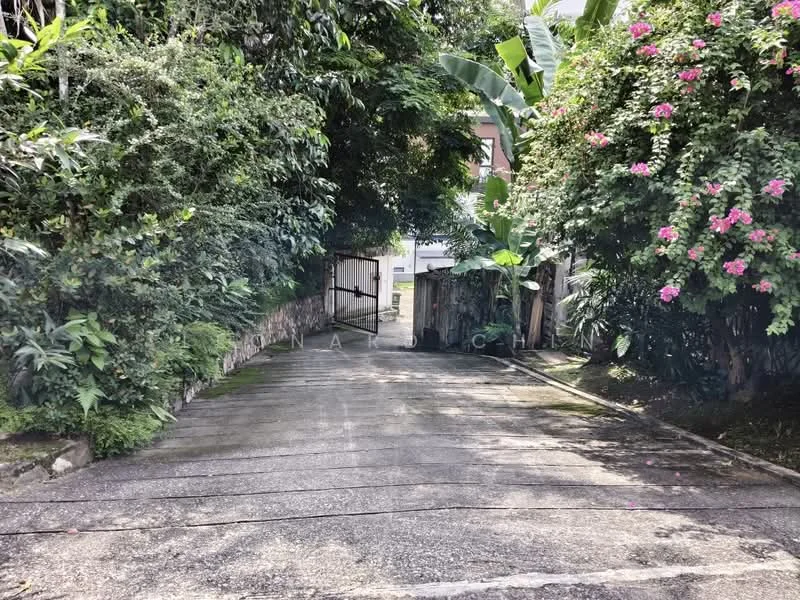 Exterior features: paved driveway, surrounded by greenery, tropical landscaping, mature trees, flowering plants, gated entrance; style: tropical-modern.