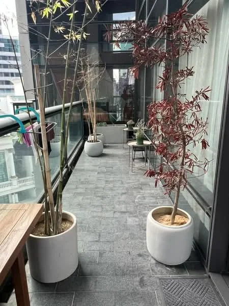 Room features: outdoor balcony, grey stone flooring, glass railing, two large potted plants, wooden table, two chairs, planters with soil, urban view; style: modern; view: city.