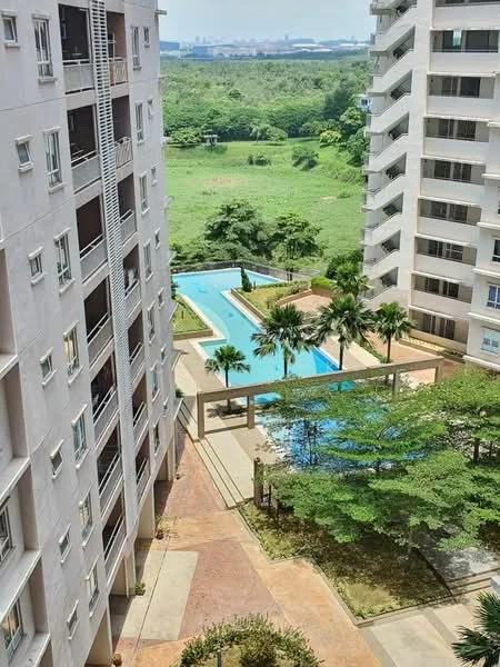 Exterior type: high-rise condominium; features: swimming pool, landscaped garden, palm trees, manicured lawn, concrete pathways, surrounding greenery, multiple residential towers, outdoor seating area; style: modern.