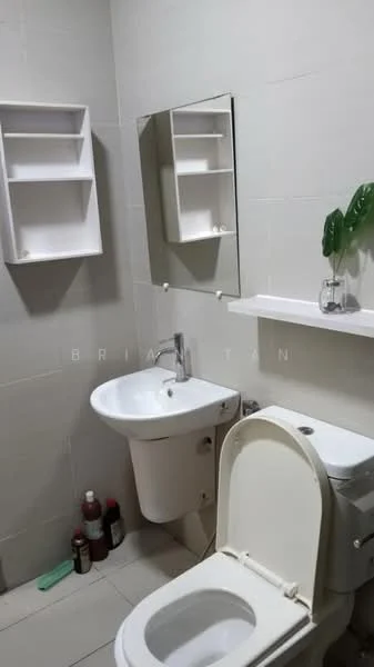 Bathroom features: white tiled walls, light grey floor tiles, single-sink vanity, chrome basin mixer faucet, framed mirror, one-piece toilet, wall-mounted shelf, decorative plant in ceramic pot, bottle storage on floor; style: modern.