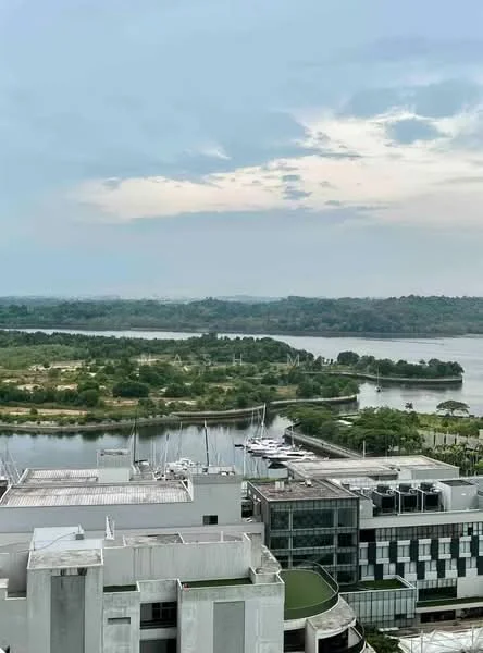 Exterior type: high-rise condominium; features: city skyline view, waterfront view, marina with boats, green landscape, modern architecture, surrounding greenery; style: modern.