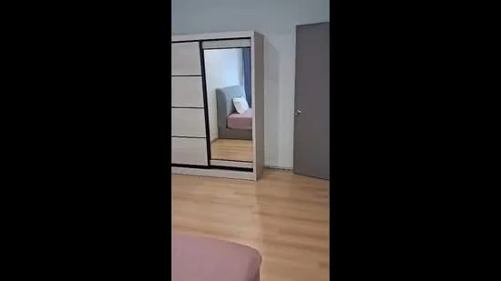 Bedroom features: laminate flooring, light grey painted walls, built-in wardrobe with mirrored doors, single bed with light bedding, decorative pillow on bed, door leading to another room, window with natural light; style: modern.