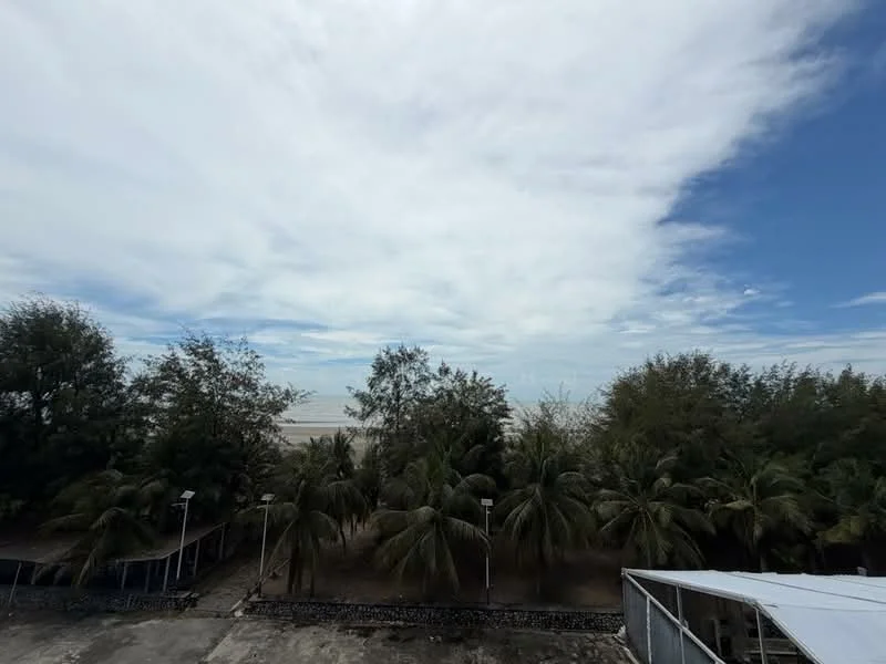Exterior features: view of the sea, tropical landscaping with palm trees, cloudy sky, concrete pathway, fencing visible in the foreground.