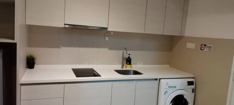 Laundry features: white laminate cabinetry, white countertop, stainless-steel sink, chrome pull-down faucet, built-in electric cooktop, front-load washing machine, small potted plant, wall-mounted cabinet, neutral wall color; style: modern.