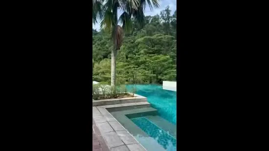 Exterior type: swimming pool deck; features: infinity pool, surrounded by tropical landscaping, palm trees, stone-paved walkway, deck area with loungers, lush greenery in background; style: tropical-modern.