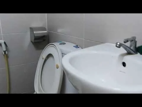 Bathroom features: white ceramic toilet, single-sink vanity, chrome basin mixer faucet, white sink, tile flooring, grey wall tiles, toilet paper holder, bidet spray; style: modern.