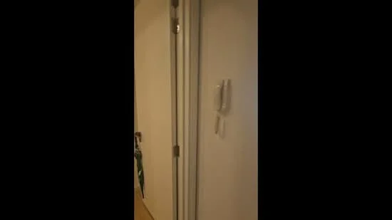 Room features: white painted walls, wooden door, door handle, intercom system, light wood flooring.