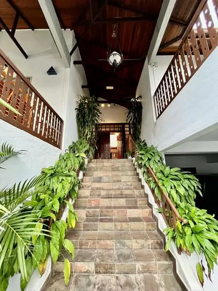 Room features: stone staircase, wooden railing, tropical plants along staircase, high ceiling with wooden beams, ceiling fan, white painted walls, decorative wall paneling, natural light from upper level; style: tropical; view: garden.