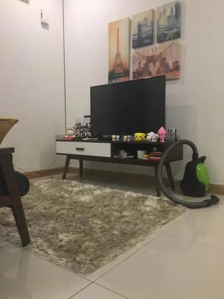Living features: flat-screen TV on media console, media console with white drawers and wooden legs, area rug with shaggy texture, wall-mounted artwork with cityscapes, vacuum cleaner, wooden coffee table, ceramic decorative items on console, light-colored walls, glossy tile flooring; style: modern.