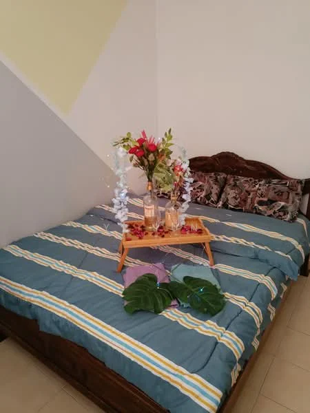 Bedroom features: queen-size bed, wooden bed frame, striped blue bedding, decorative pillows with floral pattern, wooden bedside table, vase with flowers, decorative tray, green leaves decoration, cream painted walls, tile flooring.