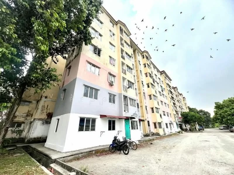 Exterior type: low-rise apartment block; features: 6-storey building, painted facade in pastel colors, balconies with metal railings, windows with security grilles, green door, bicycle parked in front, surrounding trees, open parking area, asphalt driveway, birds flying overhead; style: modern.