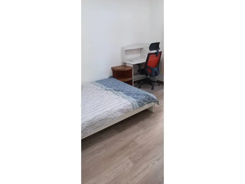 Bedroom features: single bed with mattress, wooden bed frame, desk with chair, laminate flooring, white painted walls, window with natural light, study desk, office chair; style: modern.