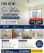 Room features: white painted walls, light wood flooring, large window with natural light, curtains, ceiling fan, built-in wardrobe, neutral decor, corner space; style: modern; view: city.