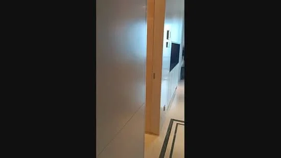 Room features: white painted walls, light-colored flooring, door, hallway, recessed lighting; style: modern.