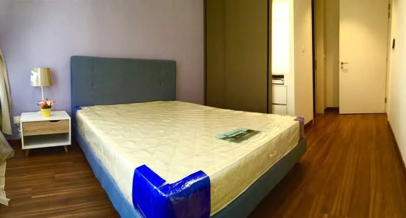 Bedroom features: queen-size bed with blue upholstered frame, wooden flooring, light purple painted walls, nightstand with drawer, table lamp, built-in wardrobe, white door, window with natural light, decorative plant on nightstand; style: modern.
