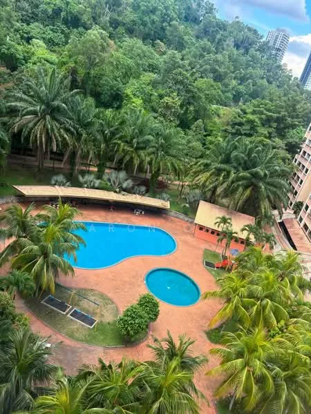Exterior type: swimming pool deck; features: two swimming pools, landscaped garden with palm trees, pool deck with loungers, covered seating area, surrounding greenery, paved walkway, sunny outdoor area; style: tropical-modern.