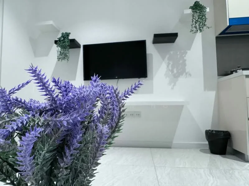 Living features: white painted walls, marble tile flooring, wall-mounted TV, floating shelves, decorative plants on shelves, white console table, black trash bin; style: modern.