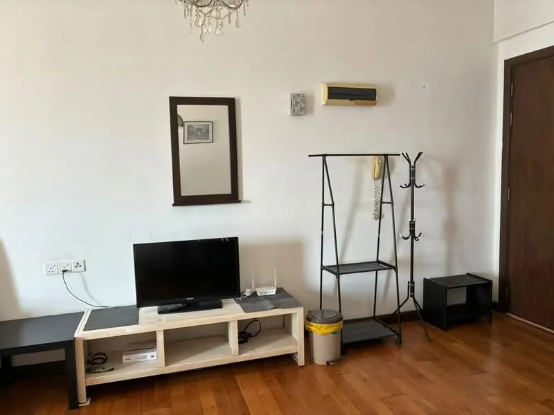 Living features: wooden flooring, white painted walls, chandelier, wall-mounted air conditioning unit, TV console with black surface, flat-screen TV, mirror on wall, black shelving unit, telephone on stand, coat rack, waste bin; style: minimalist.