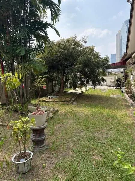 Exterior type: landscape garden; features: manicured lawn, mature trees, potted plants, stone pathway, surrounded by greenery, urban skyline in background; style: tropical-modern.