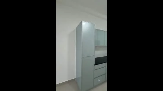 Kitchen features: light grey cabinetry, black countertop, built-in fridge, drawer storage, wall-mounted cabinets, smooth surface finish, neutral wall colour, tile flooring; style: modern.