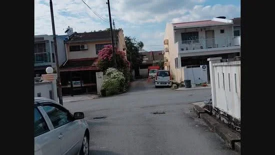 Exterior type: linked terrace house; features: two-storey houses, white painted facade, front gardens with shrubs, paved driveway, street view, overhead power lines, parked vehicles, manicured landscaping; style: modern.