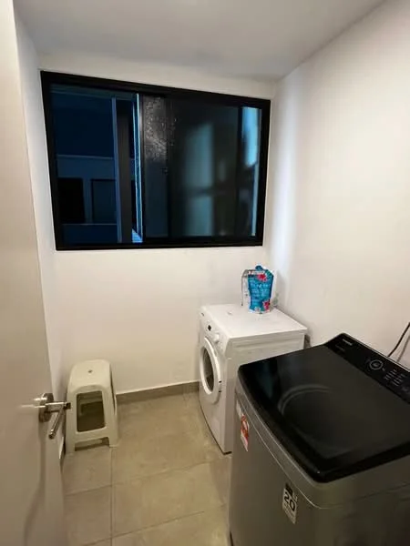 Laundry features: white walls, grey tile flooring, window with black frame, front-load washing machine, top-load washing machine, plastic water bottle, small pet toilet, light fixture.