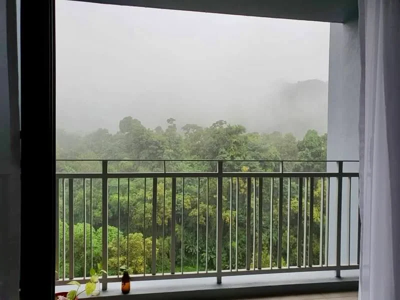 Room features: balcony with railing, floor-to-ceiling sliding glass door, curtains, view of greenery, misty atmosphere; view: garden.