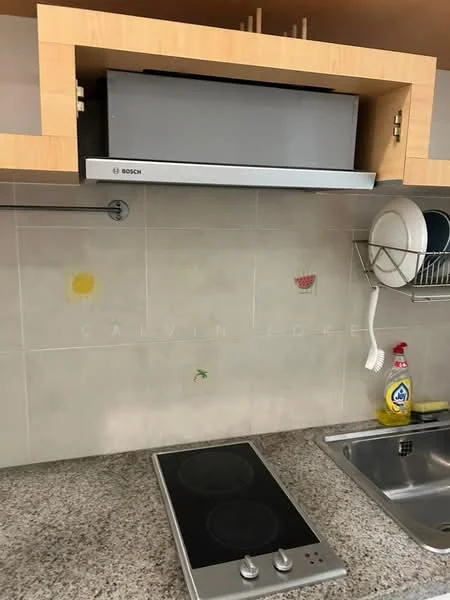 Kitchen features: stainless-steel range hood, granite countertop, built-in induction cooktop, single-bowl stainless-steel sink, chrome pull-down faucet, wall-mounted dish rack, tile backsplash, wood cabinetry; style: modern.
