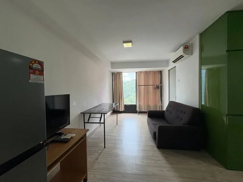 Living features: grey fabric sofa, wooden coffee table, black TV console, flat-screen TV, green cabinetry, wall-mounted split AC, large window with sheer curtains, light wood flooring, ceiling light fixture; style: modern; view: mountain.