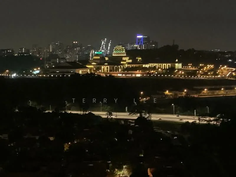 Exterior features: city skyline view, night lighting, prominent buildings illuminated, greenery in foreground, roadway visible, urban landscape; style: modern.
