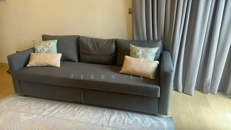 Living features: 3-seater fabric sofa in grey, decorative cushions with patterns, light-colored area rug, wooden flooring, floor-to-ceiling curtains in grey, neutral wall color; style: modern.