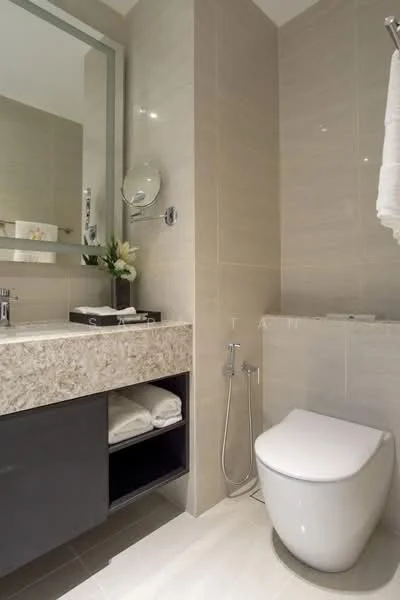 Bathroom features: single-sink vanity with granite countertop, mirror above vanity, chrome basin mixer faucet, one-piece toilet, bidet spray, tile cladding on walls, light-colored floor tiles, built-in shelving under sink, towel rack, decorative plant; style: modern.