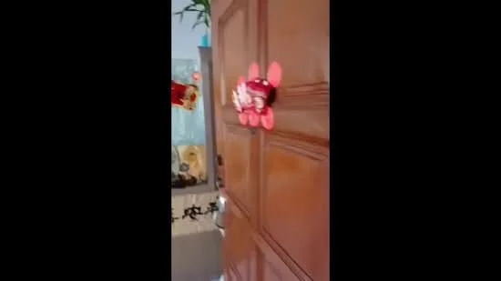 Room features: wooden door, decorative door knocker, wall-mounted artwork, green plant on shelf, neutral wall color, tile flooring.