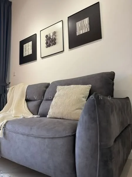 Living features: grey fabric sofa, decorative throw blanket, decorative cushion, framed artwork on walls, white wall, curtains, flooring not visible; style: modern.