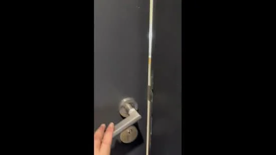 Room features: dark painted door, metal door handle, door lock, door frame.