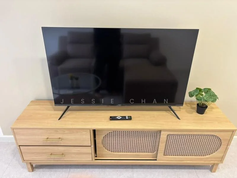 Room features: wooden TV console with drawers, rattan paneling on cabinet doors, flat-screen television, remote control, decorative plant in ceramic pot, light-colored wall, neutral flooring; style: modern.