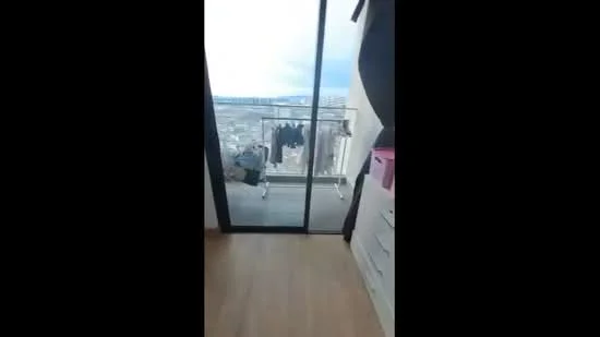 Room features: floor-to-ceiling sliding glass door, wooden flooring, clothes drying rack, balcony view, white walls, built-in wardrobe; view: city.