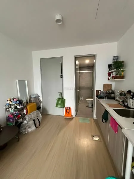 Room features: light wood flooring, white painted walls, built-in cabinets, mirror, kitchen countertop, sink, toilet visible in bathroom, shower area, recessed lighting, door to bathroom, storage bags, various household items; style: modern.