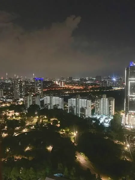 Exterior type: high-rise condominium; features: city skyline view, night lighting, surrounded by greenery, multiple high-rise buildings, park area visible, urban landscape, illuminated streets; style: modern.