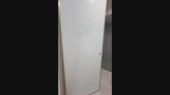 Room features: white door, metal handle, smooth surface, hinged door, minimalist design; style: modern.