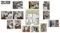 Floor plan: 3-bedroom 2-bathroom unit; features: open-plan kitchen-dining-living, master bedroom with ensuite bathroom, balcony off living room, utility room, laundry area, central foyer, 2 car porch, 1,250 sqft built-up.