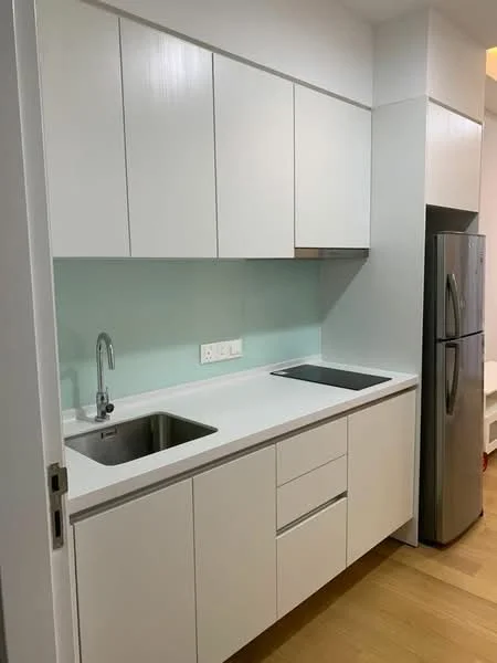 Kitchen features: white cabinetry, stainless-steel sink, chrome pull-down faucet, black countertop, built-in refrigerator, white backsplash, under-cabinet lighting, wooden flooring; style: modern.